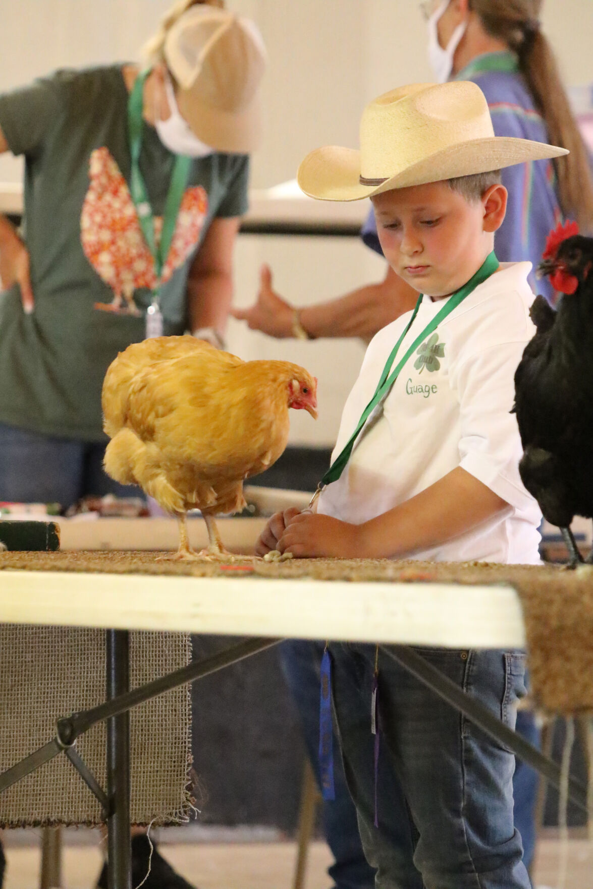 PHOTOS: Poultry Show at Scotts Bluff County Fair 2020